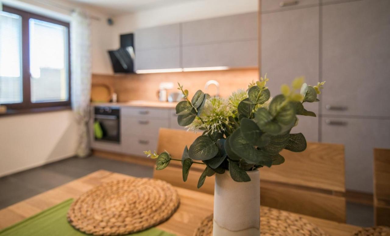 Astra Lipno Appartement Frymburk Buitenkant foto